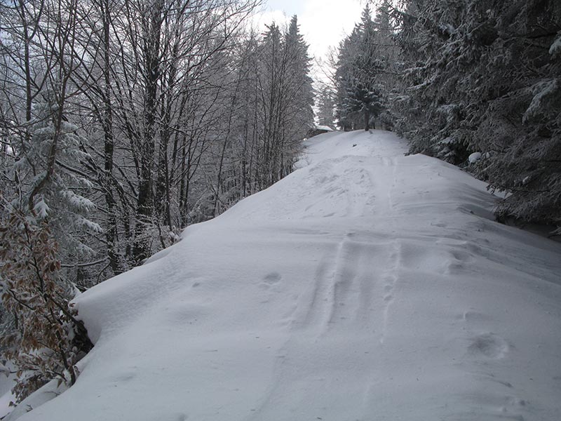 Die letzten Meter zum Geienberg